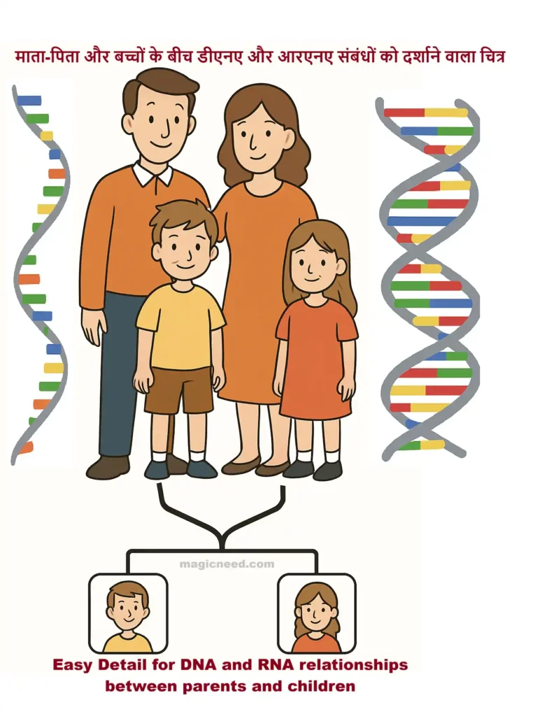 Diagram showing DNA and RNA relationships between parents and children