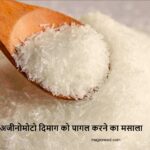 अजीनोमोटो दिमाग को पागल करने का मसाला