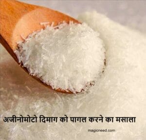 अजीनोमोटो दिमाग को पागल करने का मसाला