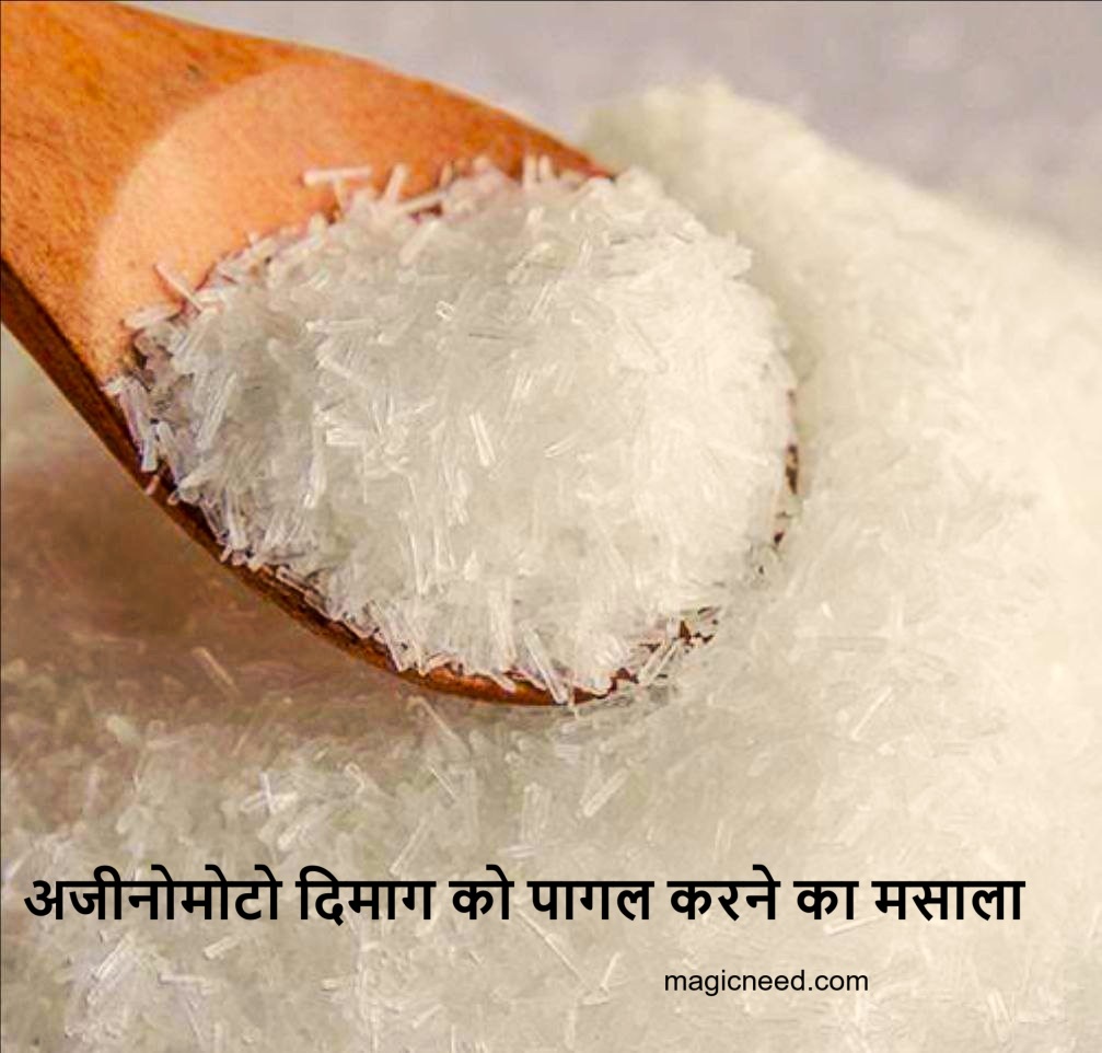 अजीनोमोटो दिमाग को पागल करने का मसाला