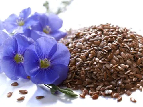 Flax seeds and chia seeds 3 key differences and benefits