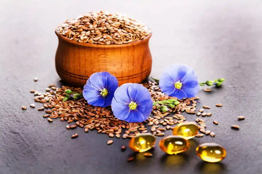 Flax seeds and chia seeds 3 key differences and benefits