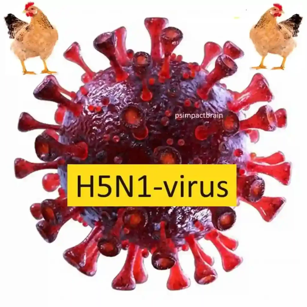 H5N1 virus is a pandemic