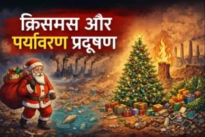 the impact of Christmas on environmental pollution